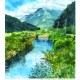 「淡海の夢2019風景展」が開催しました。