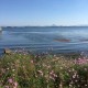 淡海の夢2015-堅田・湖族の郷写生会を開催しました
