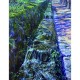 『棚田・里山、湖辺の郷 淡海の夢2017風景展』出品作品を公開しました。